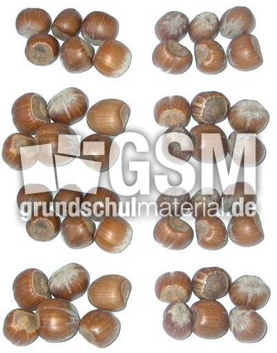 Haselnüsse-8x6.jpg